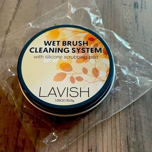Wet brush cleaning system